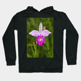 Bamboo Orchid Hoodie